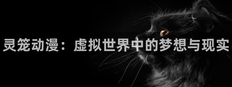 五一动漫高清看
