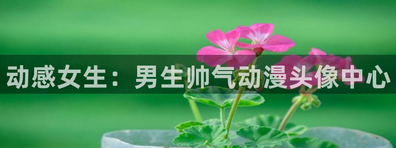 五一动漫在线观看免费